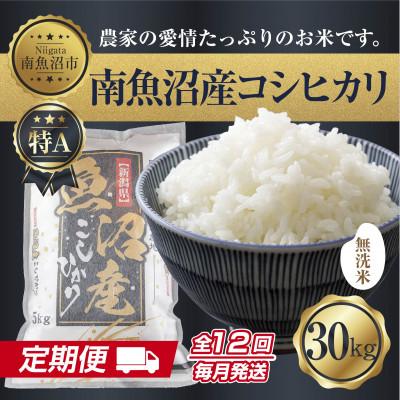 ふるさと納税 南魚沼市 【毎月定期便】無洗米 南魚沼産 コシヒカリ 精米30kg (美味しい炊き方ガイド付)全12回