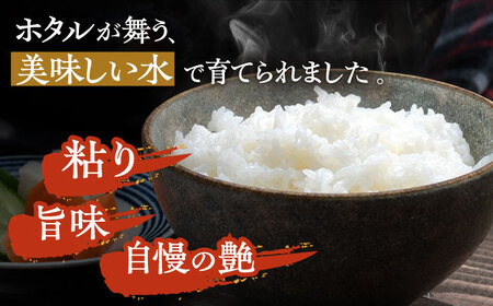 【先行予約】【全6回定期便】特A 対馬産 にこまる 5kg×2「ほたる舞う三根川の米」  米 お米 ご飯 ごはん 白米 10kg 10キロ 産地直送 贈答用 特A 定期便 [WAJ010]