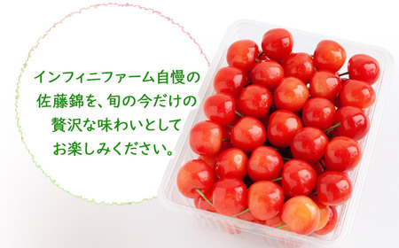 【令和8年産先行予約】 インフィニファームのさくらんぼ「佐藤錦」バラ詰め 500g （2Ｌサイズ）　K-848