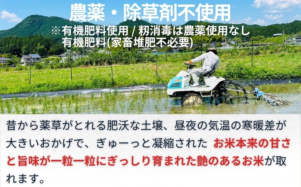 【定期便6回】天真爛漫 奥大和高原米 ＜令和7年産 玄米 2kg＞ ／ ふるさと納税 無農薬 米 お米 こめ コメ 国産 新米 玄米 一等米 農家やまおか 有機肥料使用 農薬不使用 除草剤不使用 奈良