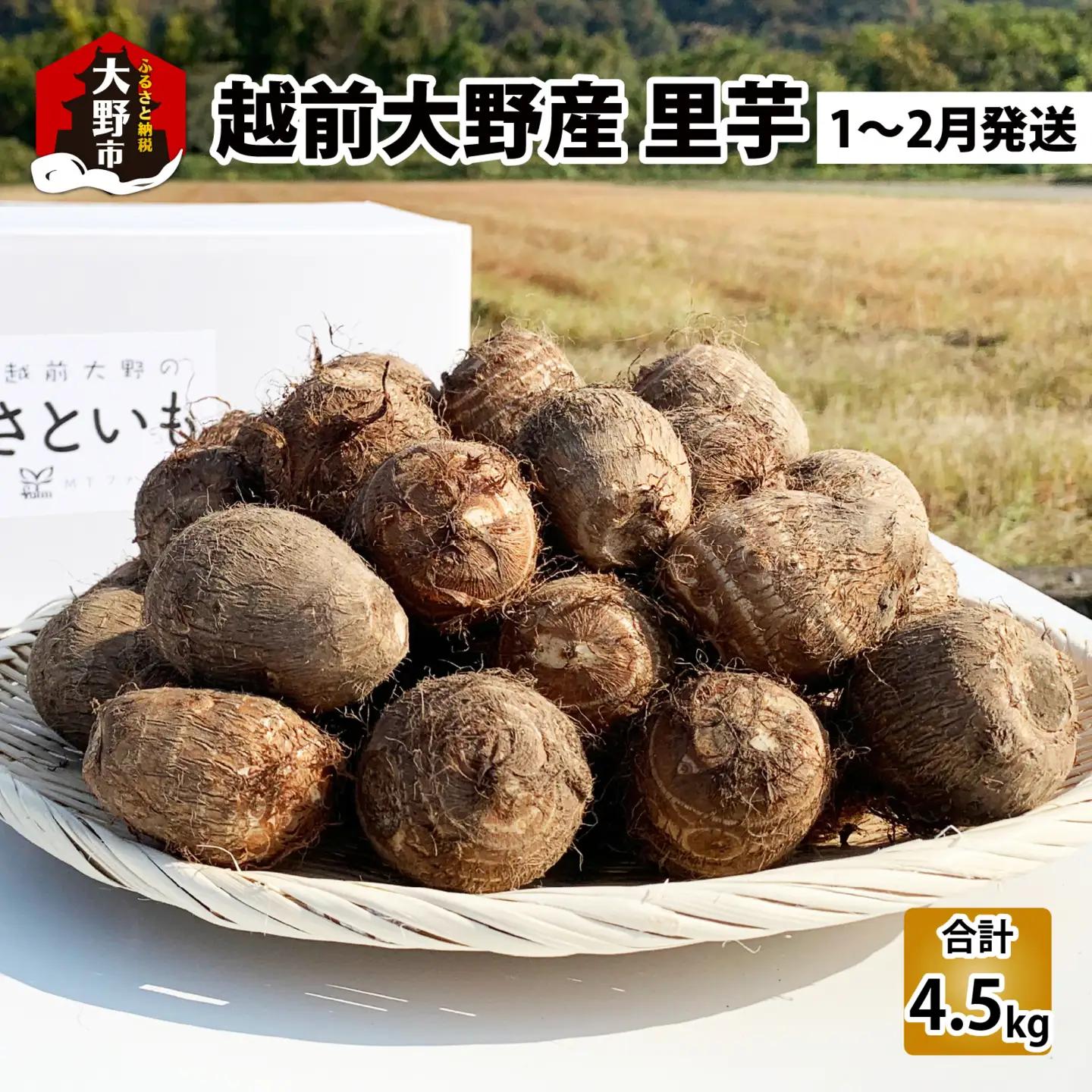 特別栽培 越前大野産 土付里芋 4.5kg【1月から順次発送】[A-008002]