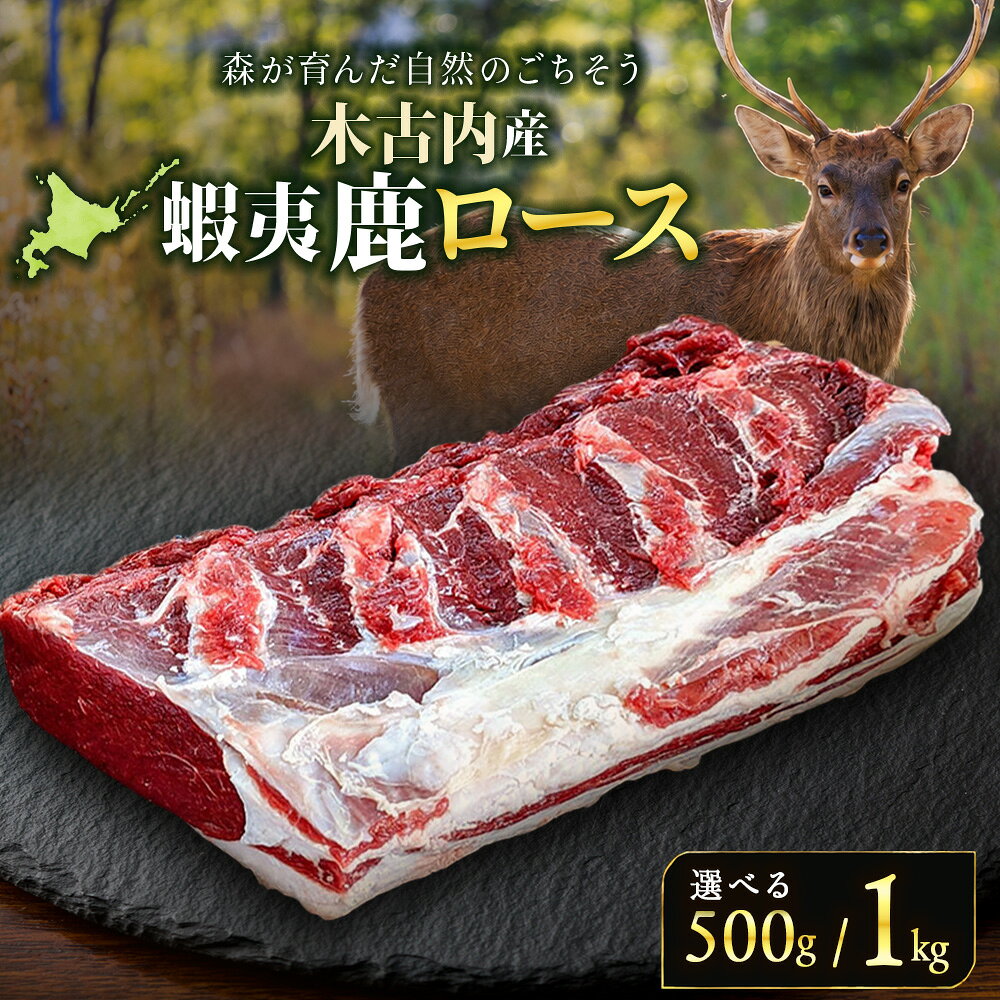 【ふるさと納税】知内町産蝦夷鹿 ロース 選べる500g～1kg鹿肉 エゾシカ 肉 お肉 ジビエ 北海道ふるさと納税 木古内町 ふるさと納税 北海道