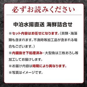 中泊水揚直送 海鮮詰合せ 大 （3～10尾程度） ※下処理済み 【徐福の里物産品直売所】 旬 詰め合わせ 魚 海鮮 ウスメバル メバル めばる 直送 ソイ カレイ ヒラメ 真鯛 タイ イカ タコ F6