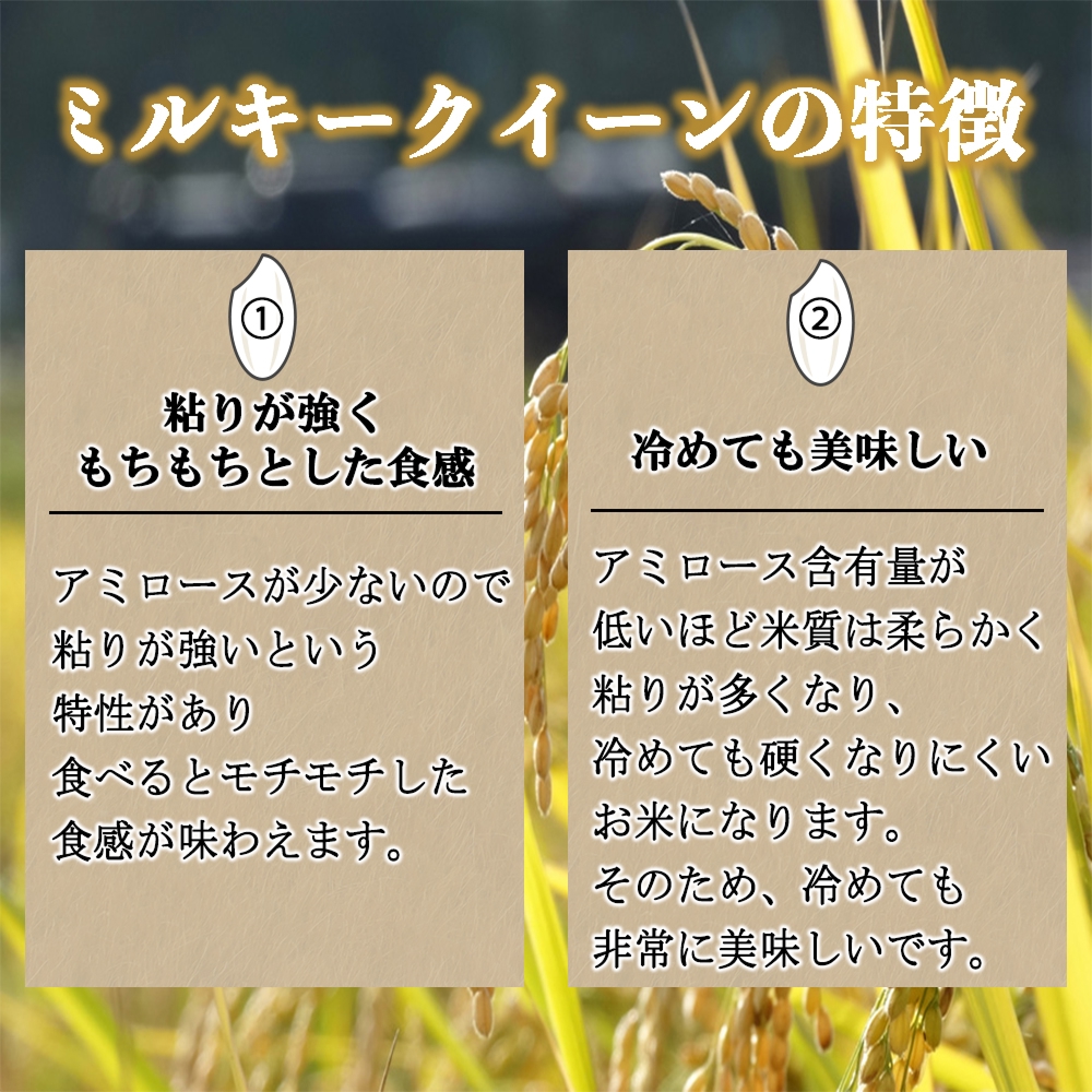 栽培期間中農薬・化学肥料不使用 発芽玄米 (大分県産ミルキークイーン) 1.5kg×1袋 無洗米 令和7年度産