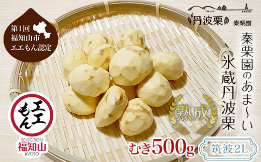 
            【先行予約11月上旬発送】秦栗園のあま～い氷蔵丹波栗 筑波2L むき500g【第1回福知山市ええもん認定】【熟成】 大粒 ふるさと納税 栗 くり 人気 和 スイーツ 高級 和菓子 栗菓子 ギフト プレゼント お取り寄せ グルメ 京都府 福知山市　※沖縄・離島配送不可
          