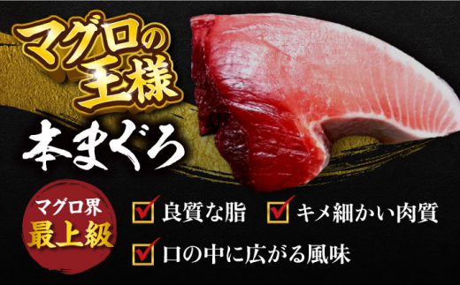 【全6回定期便】天然 本まぐろ 大トロ・中トロ・赤身（約200ｇ×3柵）約600ｇ  鮪 マグロ 魚 刺身 横須賀【本まぐろ直売所】 [AKAK075]