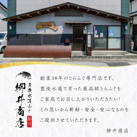 ストックする ふぐ刺し(約80g)ふぐ フグ とらふぐ フグ刺し ふぐ刺身 フグ刺身 刺身 てっさ 薄造り 鮮魚 冷凍 国産 簡単調理 九州産 大分県 佐伯市【AB95】【柳井商店】