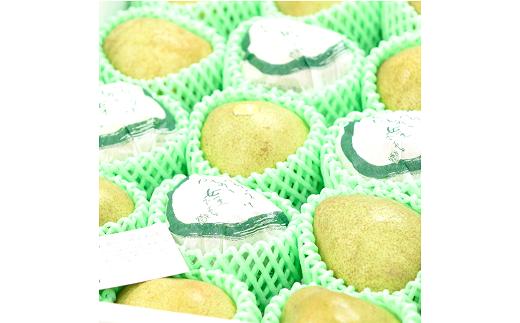 【令和7年産先行予約】 ラ・フランス 約5kg (15～18玉 特秀 2～4L) 《令和7年11月～発送》 『たけひさ農園』 ラフランス 西洋梨 洋なし 果物 山形県 南陽市 [1088-1]