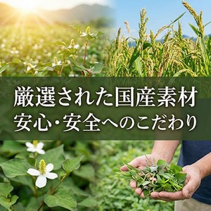 【 定期便6回 】 阿波晩茶 30パック 3セット 健康 お茶 