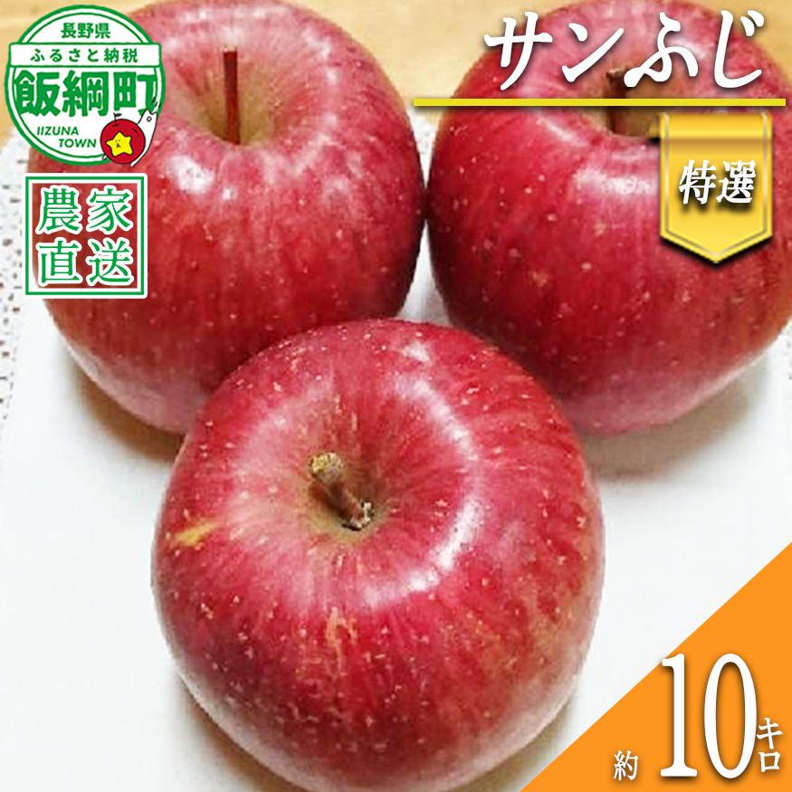 りんご サンふじ 特選 10kg やまじゅうファーム 2026年12月中旬頃から2026年12月下旬頃まで順次発送予定 令和8年度収穫分 信州の環境にやさしい農産物 減農薬栽培 長野県 飯綱町 [0535]
