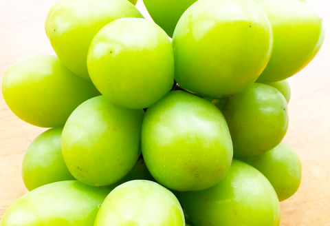 B-631 椋ぶどう園の大粒種なしシャインマスカット（600g程度×2房）