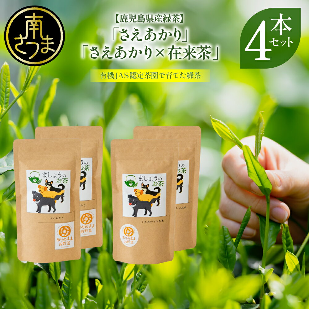 【ふるさと納税】【鹿児島県産緑茶】ましょうのお茶「さえあかり」「さえあかり×在来茶」4本セット 計200g 鹿児島県産 かごしま お茶 日本茶 緑茶 茶葉 南さつま市 送料無料