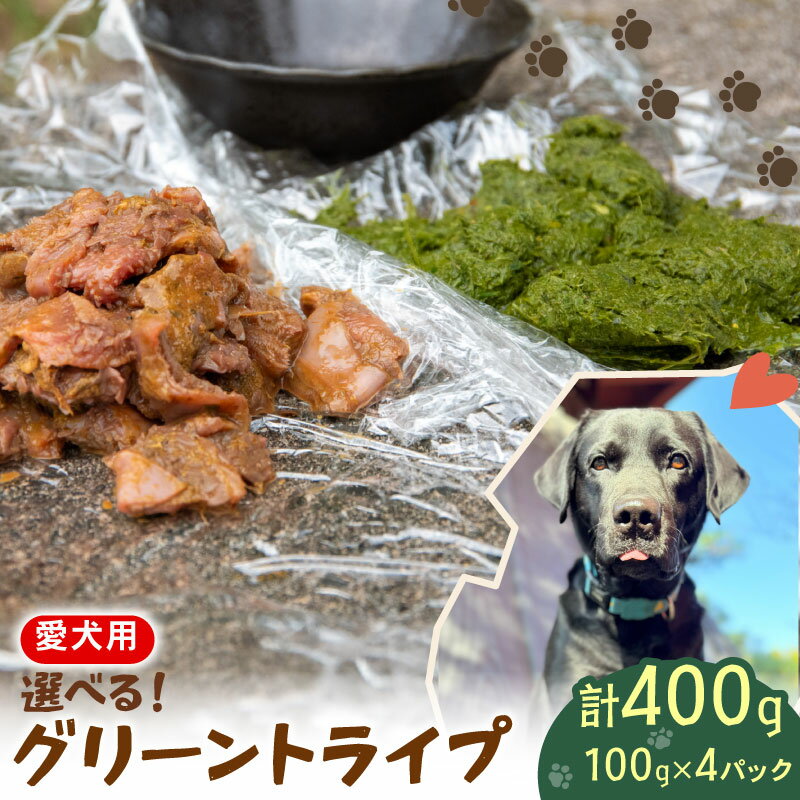【ふるさと納税】 ペットフード 犬用 シカ の 生 グリーントライプ セット 選べる 2種類 100 g× 4 袋 ジビエ 鹿肉 鹿 胃 ドッグフード ペット 安心 健康 おやつ 犬 国産 ごはん ペット用品 犬のおやつ 犬用 ペット用 ご褒美 乳酸菌 全犬種 小分け 個包装 ジビエ商店かやき