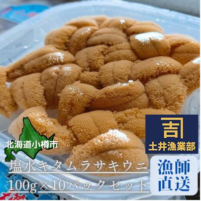 ふるさと納税 小樽市 北海道小樽市[漁師直送]塩水キタムラサキウニ100g×10パック 【2025年5月下旬より発送】