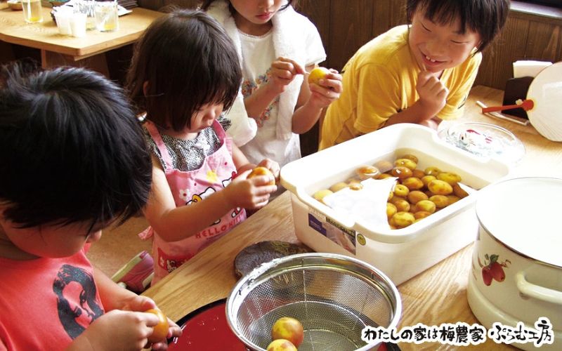 梅ジャムづくり体験ペアチケット 【iwasho010A】