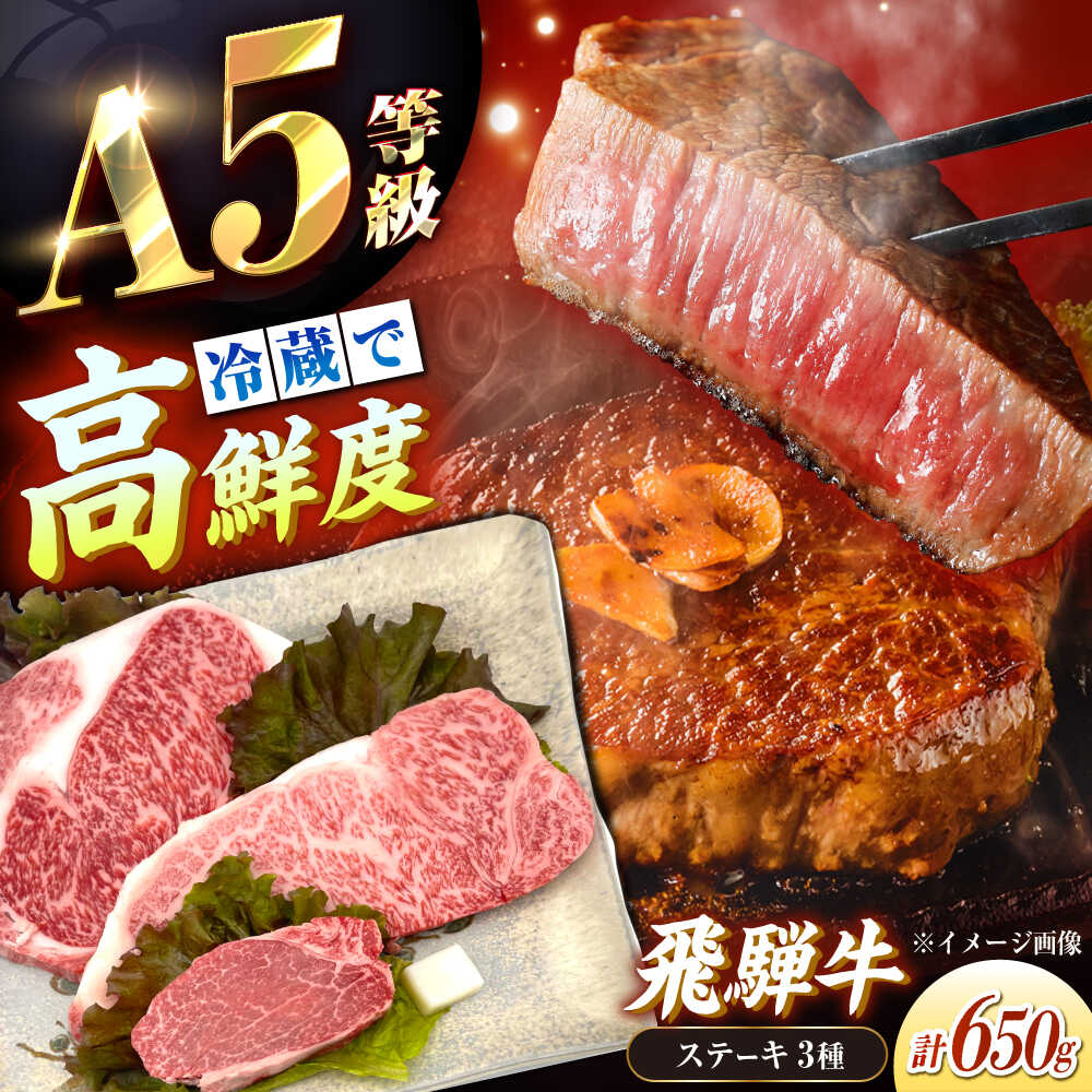 【ふるさと納税】【年内発送】【チルド（冷蔵）発送！】 牛肉 「飛騨牛」 A5等級 ステーキ用3種盛り！ ヒレ・サーロイン・リブロース / 肉 お肉 にく牛肉 飛騨牛 和牛 国産和牛 ブランド牛 お取り寄せ ステーキ おすすめ 人気 ギフト /恵那市/東美濃農業協同組合[AUFX024]
