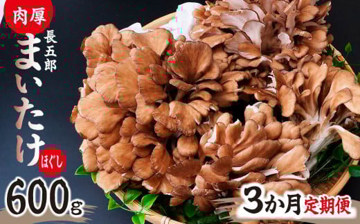 【3ヶ月定期便】まいたけ 長五郎まいたけ ほぐし 300g×2個 まいたけ｜舞茸 まいたけ レシピ付き ジューシー ステーキ 天ぷら 炊き込みご飯 舞茸ご飯 ごはん きのこ 野菜 丸ごと 国産 無農薬 安全 安心 食物繊維 健康  カロリー 低い 産地直送 プレゼント ギフト 贈り物 群馬県 前橋市