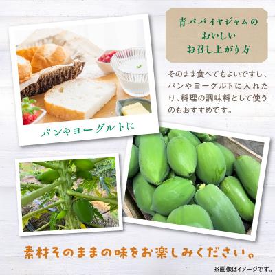 ふるさと納税 碧南市 栄養たっぷり!無添加 青パパイヤのジャム 3パック H164-007 |  | 02