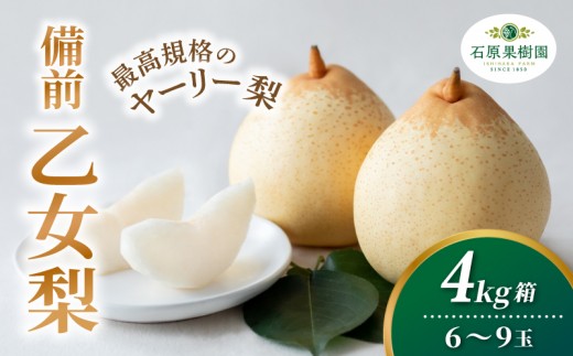 
                  備前乙女梨 ヤーリー梨 4kg箱 赤秀 6～9玉入り 岡山県産 | ヤーリー梨 鴨梨 梨 特選品 上級品 贈り物 御歳暮 果物 くだもの フルーツ 石原果樹園【ishk032-01】
                