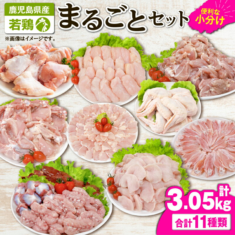 【ふるさと納税】【年内配送12月1日入金まで】若鶏まるごと3.05kgセット[モモ切身・ムネ切身・筋なしささみ・手羽元・チキンリブ・手羽先・砂肝・肝・肩肉・小肉・骨付モモ]国産 鹿児島県産 鶏肉 鶏 鳥肉 鶏もも 鶏むね 鶏ささみ 【株式会社 TRINITY】