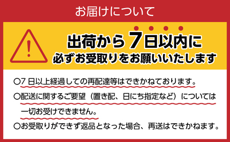 《12ヵ月定期便》富士山蒼天の水 2L×6本（1ケース）ラベルレス