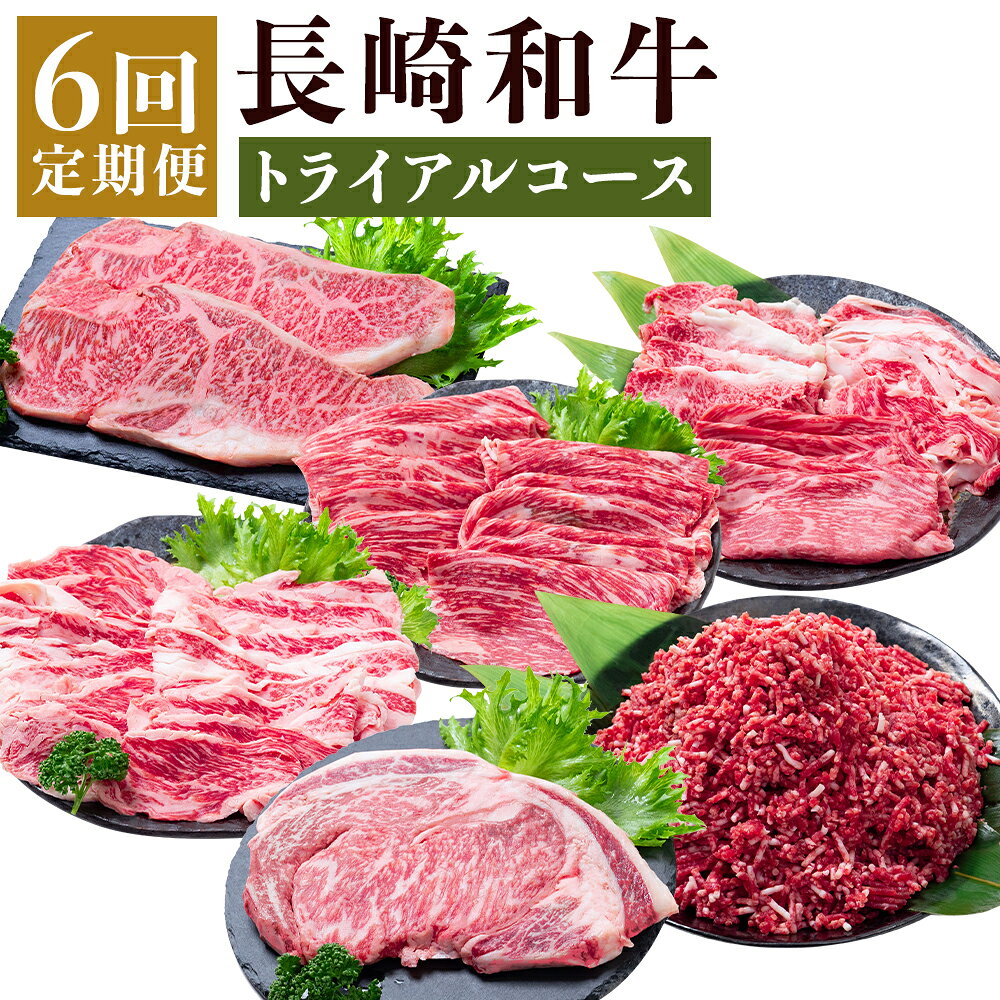 【ふるさと納税】【年6回定期便】長崎和牛 トライアルコース 牛肉 お肉 肉 和牛 赤身 サーロインステーキ ロース カルビ リブロースステーキ ステーキ ミンチ 焼き肉 すき焼き しゃぶしゃぶ セット 冷凍 長崎県産 国産 九州 長崎県 時津町 送料無料