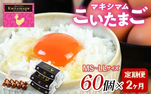 
                  【TVで話題沸騰！】2か月定期便！とにかく黄身が濃いたまご「マキシマムこいたまご」60個入り F21C-492
                