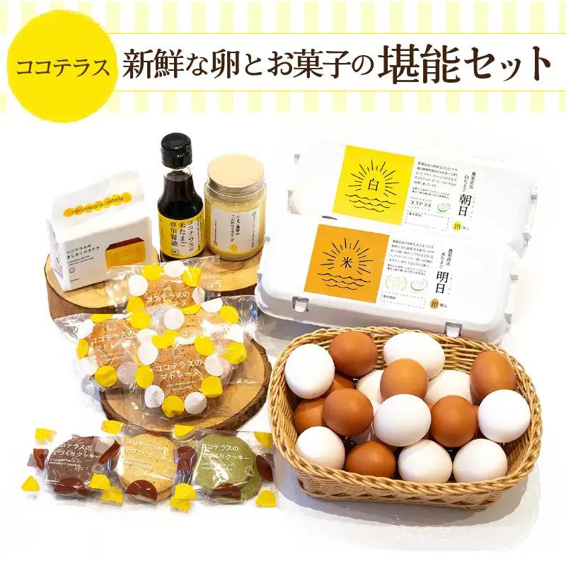 ココテラスの新鮮な卵とお菓子の堪能セット カステラ マドレーヌ クッキー マヨネーズ 醤油 たまご専用醤油 調味料 料理 赤卵 白卵 タマゴ 卵 鶏卵 焼き菓子 洋菓子 グルメ スイーツ お取り寄せ 詰め合わせ ギフト 贈り物 プレゼント 愛知県 常滑市