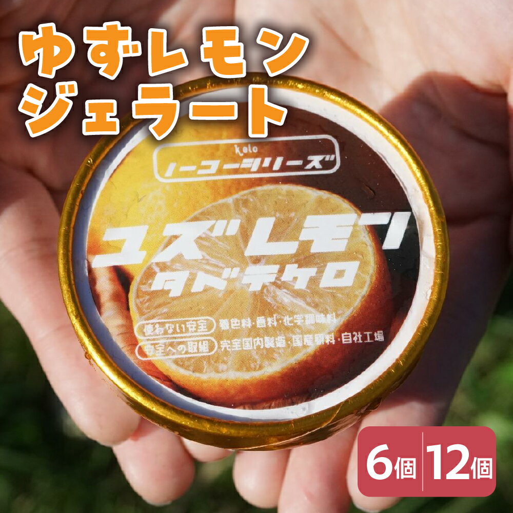 【ふるさと納税】ゆずレモン ジェラート 104ml〔6個入り・12個入り〕ゆず レモン アイス スイーツ 洋菓子 お菓子 デザート 贈答 贈り物 ギフト プレゼント お取り寄せ 送料無料 山形県 米沢市