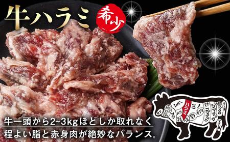牛ハラミ 塩麹タレ漬け900g_LG8-3309_(都城市)  味付き牛ハラミ 300gパック 真空 小分け 900g