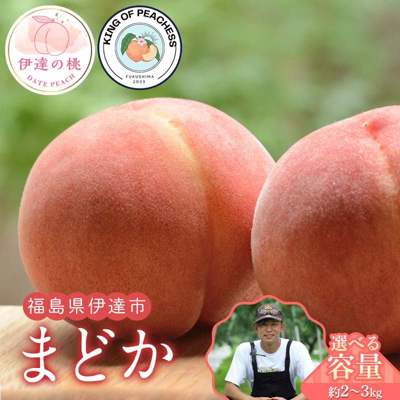 【ふるさと納税】＼容量が選べる／キングオブピーチ 桃 「まどか」約2kg～3kg まどか 伊達の桃 桃 もも モモ 果物 くだもの フルーツ 国産 食品 F21C-137var