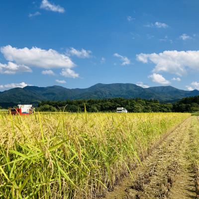 ふるさと納税 新庄市 【毎月定期便】黒澤のはえぬき(精米)3kg全3回 |  | 01