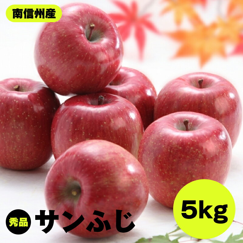 【ふるさと納税】【南信州産】サンふじ　約5kg　秀品 | りんご リンゴ ふじ サンふじ さんふじ 信州 南信州 送料無料 ふるさと納税 長野県 飯田市 K30