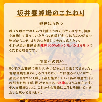 みつばちの雫　国産くり蜂蜜　500g+300g