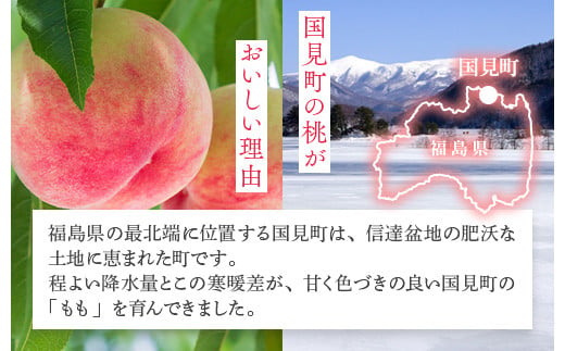 透過式光センサー川中島白桃 特秀3kg相当 9玉〜11玉＜ ふくしま未来農業協同組合 ＞ | ふくしま 桃 福島 もも 国見 モモ ※2025年8月中旬頃に順次発送予定 ※沖縄・離島への配送不可