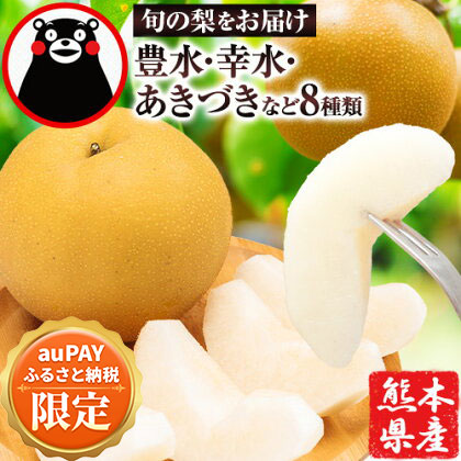 【auPAYふるさと納税限定】 梨 くまもと梨 秋 旬 なし 幸水 豊水 果物 くだもの フルーツ あきづき 甘太 新高 新興 約3.4kg 5玉～15玉前後 熊本県産【着日指定不可】《2025年8月下旬‐11月中旬頃より順次発送》旬 果物 お取り寄せ