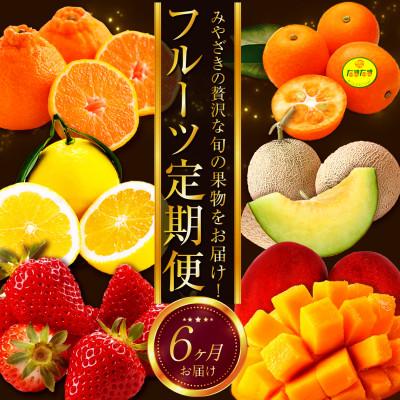 ふるさと納税 宮崎市 【発送月固定定期便】宮崎の旬なくだものをお届け!くだもの定期便全6回