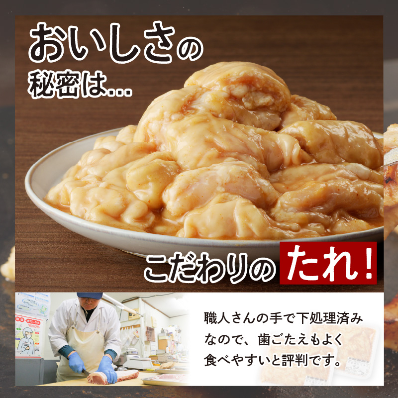 【宮崎産】豚直腸(ホルモン)タレ漬け500g(3～5人前)N061-YA0456_イメージ3