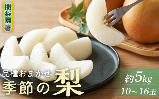 ＜品種おまかせ＞季節の梨約5kg(10～16玉入り )豊水・秋月・新興【梨 なし ナシ フルーツ 果物 果実 贈答 ギフト おすすめ 人気 おまかせ 福岡県 筑前町 送料無料 AK003】