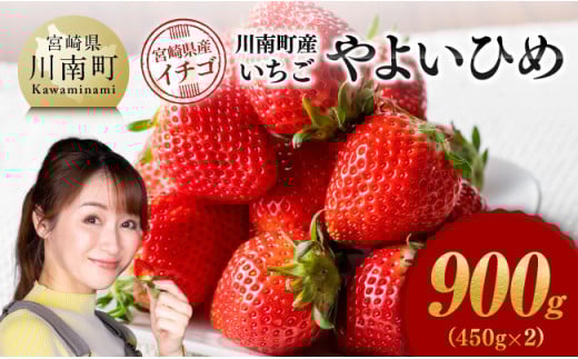 川南町産　いちご「やよいひめ」900ｇ（450ｇ×2）【 期間限定 果物 イチゴ 苺 やよいひめ フルーツ 】