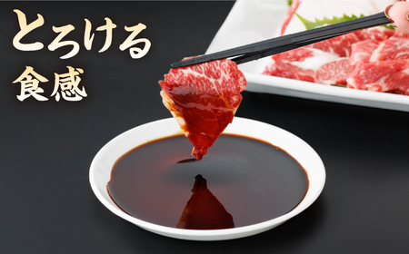 【12回定期便】特選霜降り馬刺し 中トロ大トロ2種食べ比べセット 計400g（各2pc）＋タレ大【馬刺しの郷 民守】2種馬刺しセット 中トロ 大トロ 霜降り 特選 タレ付き  [ZBL107]