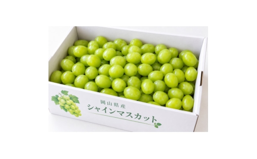 【2027年発送】岡山県産シャインマスカット粒　1kg【1785609】