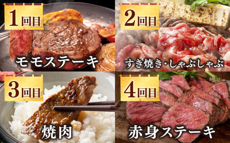 【全12回定期便】《50万》 壱岐牛 ギュギュギュ 定期便 （壱）《壱岐市》 肉 ステーキ 焼肉 しゃぶしゃぶ すき焼き 赤身[JZX010] コダワリステーキ・すき焼き・しゃぶしゃぶ・焼肉 こだわり