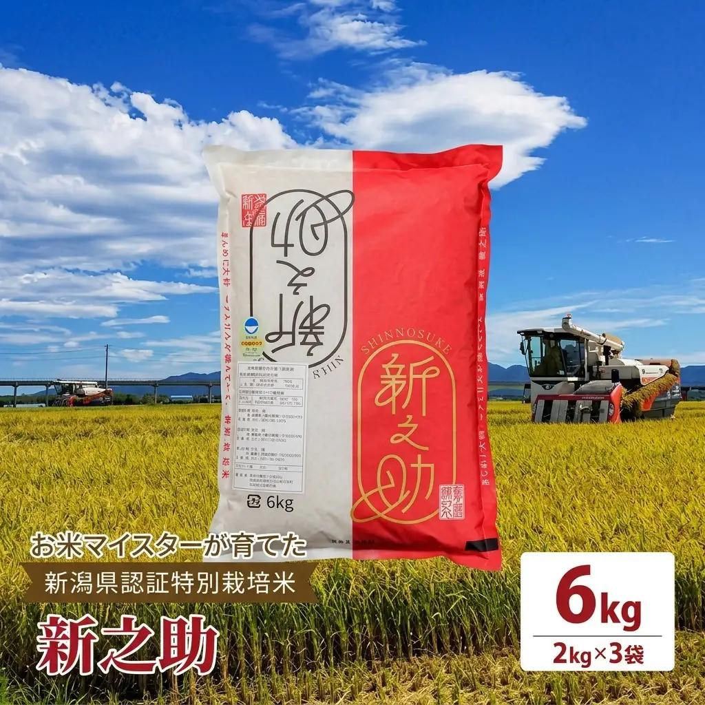 お米マイスター 特別栽培米新之助 上越頸城産 精米6kg 新之助