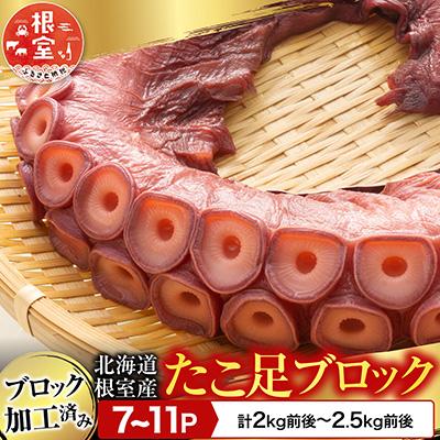 ふるさと納税 根室市 【北海道根室産】たこ足7〜11P(計2kg〜2.5kg前後) C-70076