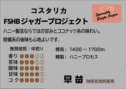 【早苗】焙煎珈琲豆（いつもと違った個性派セット　3種×各100g） 粉   0020-003-S05-2