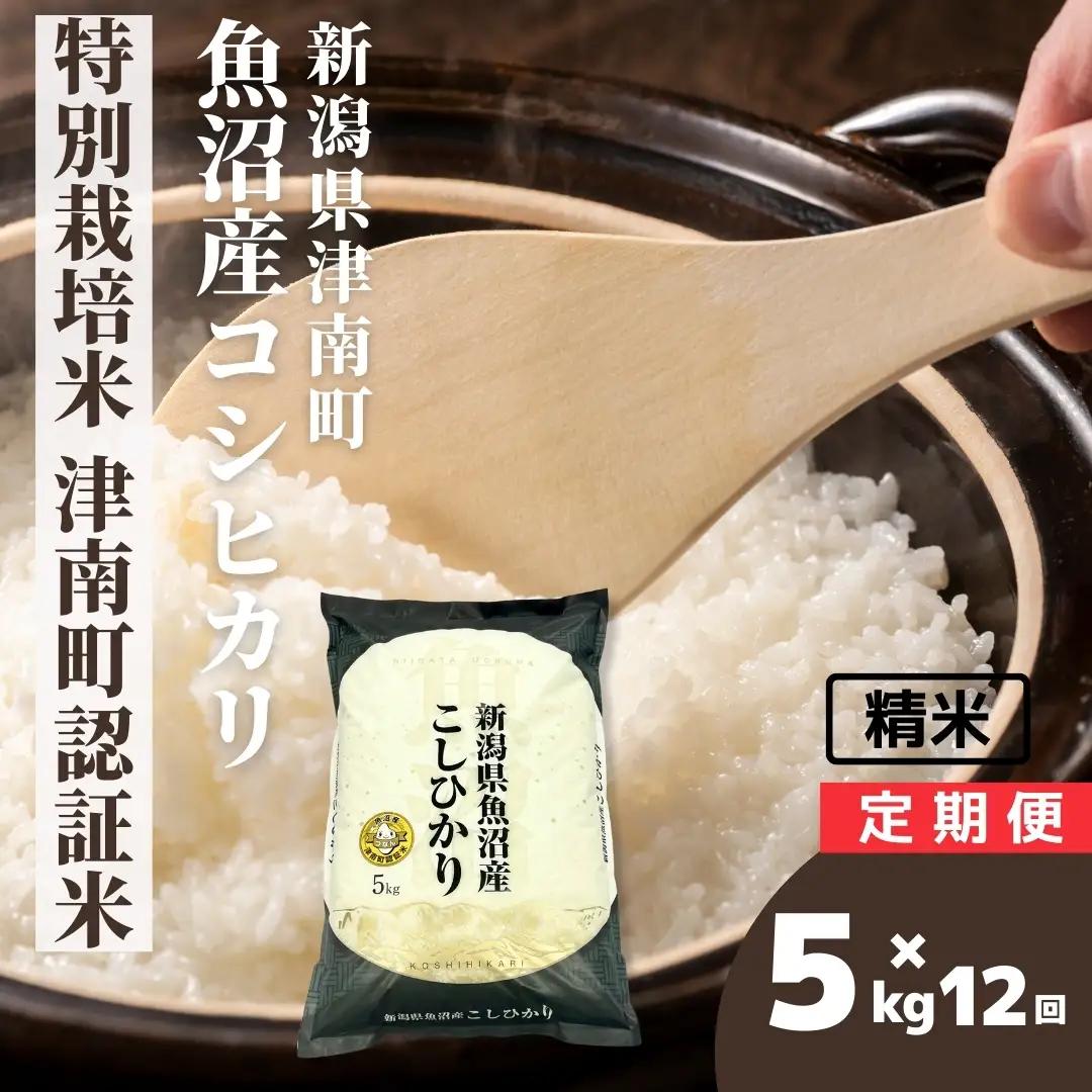 令和8年産 先行予約 魚沼産コシヒカリ 特別栽培 津南町認証米 5kg×12か月連続お届け | 60キロ 津南町 魚沼
