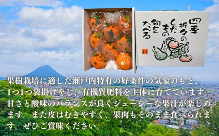 【4月発送】 デコポン 不知火 約4kg 化粧箱 香川県 丸亀市