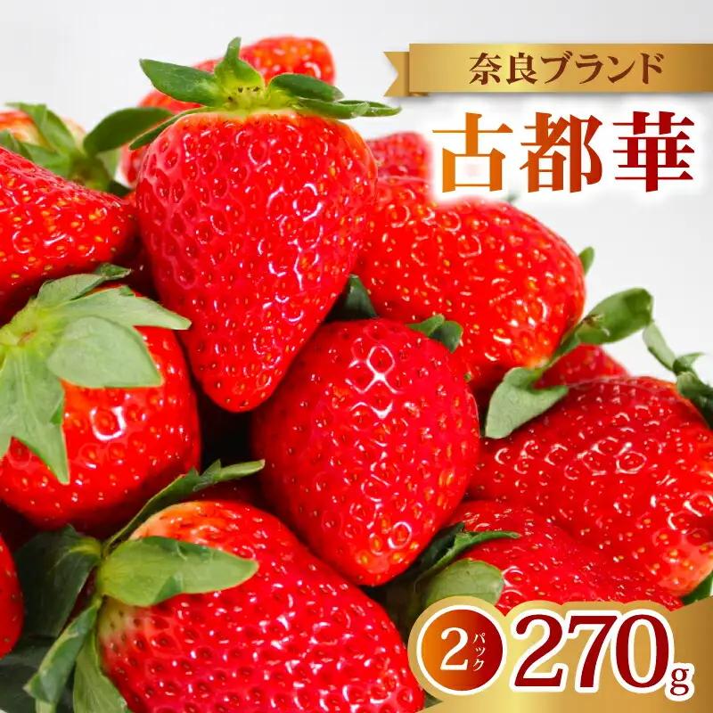 【2027年1月～発送予定】イチゴ 古都華 家庭用イチゴ 約270g×2パック