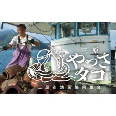 ふるさと納税 三原市 缶詰 蛸の生姜煮 4缶 と 蛸卵 1缶 セット 缶詰 魚介 海産物 おつまみ[031-002] |  | 02